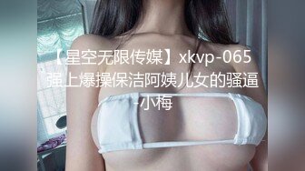 【星空无限传媒】xkvp-065 强上爆操保洁阿姨儿女的骚逼-小梅