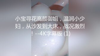 小宝寻花高颜御姐，温润小少妇，从沙发到大床，战况激烈！--4K字幕版 (1)