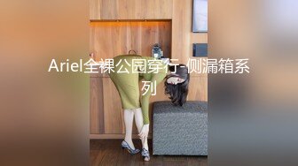 Ariel全裸公园穿行-侧漏箱系列