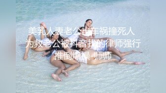 美乳人妻老公出车祸撞死人 为救老公被抖音找的律师强行推倒爆操-师师