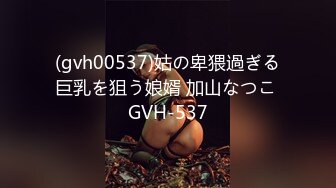 (gvh00537)姑の卑猥過ぎる巨乳を狙う娘婿 加山なつこ GVH-537