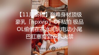 【11月新档】巅峰身材顶级豪乳「npxvip」OF私拍 极品OL偷偷在茶水间玩电动小尾巴肛塞爽到双穴失禁