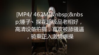 [MP4/ 462M]&nbsp;&nbsp;锤子丶探花超极品老相好，高清设备拍摄，喜欢被舔骚逼，骑乘正入激情爆操