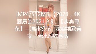 [MP4/552MB]【2023，4K画质】2021.2.9，【步宾寻花】，清纯校花，妆容精致美女，无水印收藏版