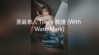 圣诞老人 Tiny x 雅捷 [With WaterMark]