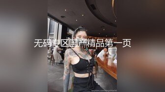 无码专区国产精品第一页