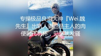 ⚡专操极品良家大神『Wei.魏先生』出轨人妻也是主人的肉便器飞机杯，见面就发骚