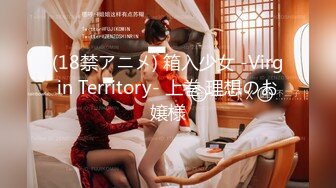 (18禁アニメ) 箱入少女 -Virgin Territory- 上巻 理想のお嬢様