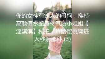 你的女神有钱人的母狗！推特高颜值水蛇身材气质小姐姐【淫淇淇】私拍，蜂腰蜜桃臀进入秒射那种 (3)