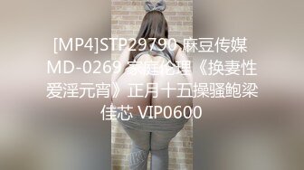 [MP4]STP29790 麻豆传媒 MD-0269 家庭伦理《换妻性爱淫元宵》正月十五操骚鲍梁佳芯 VIP0600