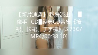 【新片速遞】 私房流出❤️█魔手☛CD█经典CD合集《撩裙、长裙、丁字裤》[3.73G/MP4/00:38:10]